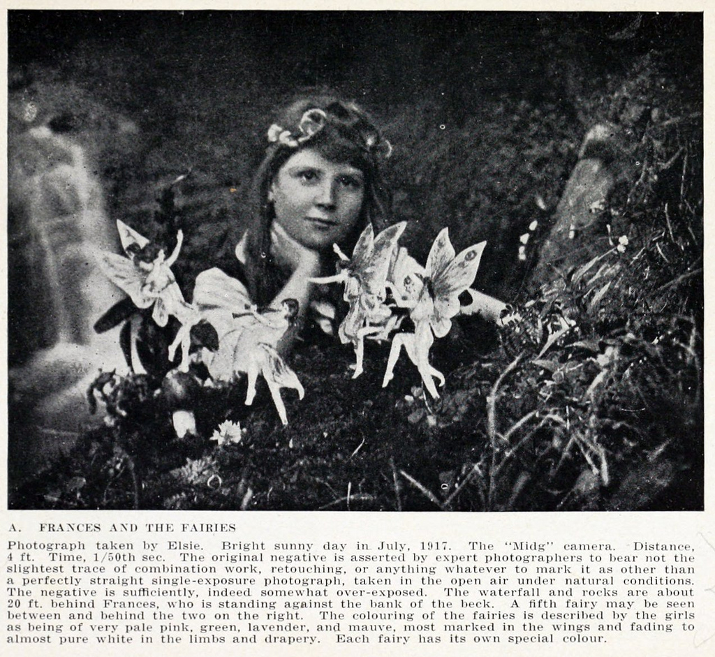 Photo of Fairies and Girl