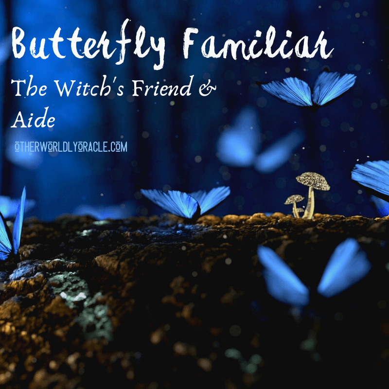 A Witch’s Familiar: The Magic of Witches and Butterflies