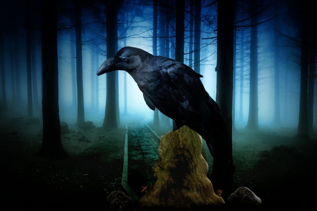 Crow feather symbolism