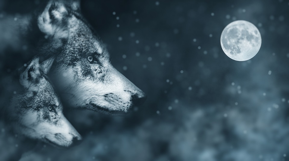 Odin was a Norse Wolf God.