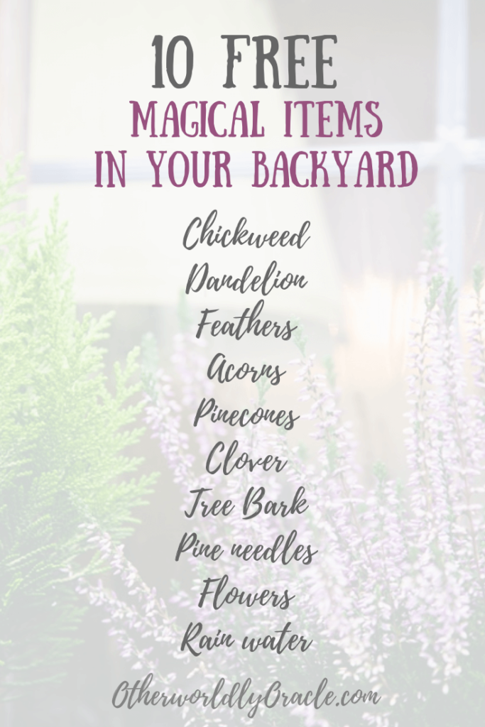 10 FREE Backyard herbs and objects to use in YOUR magick!