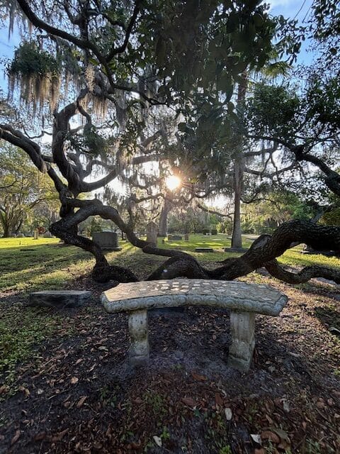 Cemeteries are liminal