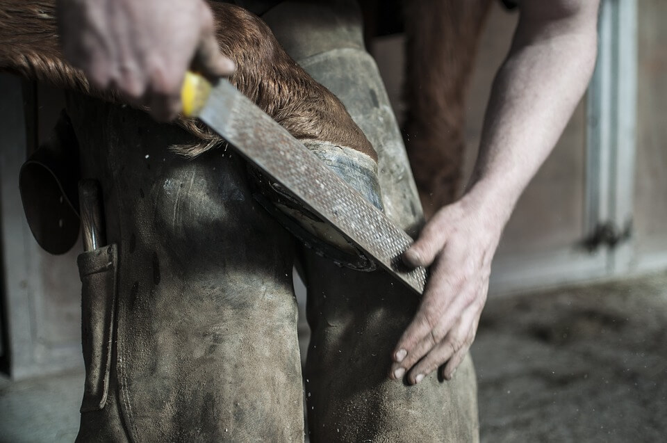 The horse is a sacred animal and therefore the horseshoe is sacred in many cultures.
