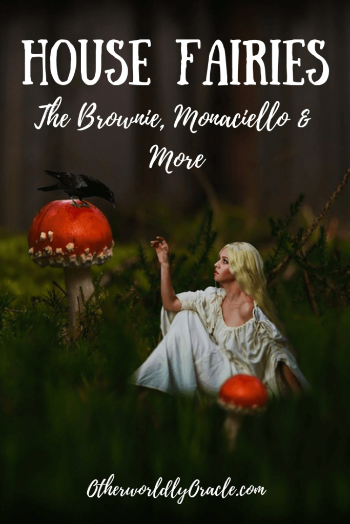 House Fairies and House Elves: the Brownie, Monaciello, Clurichaun and more!