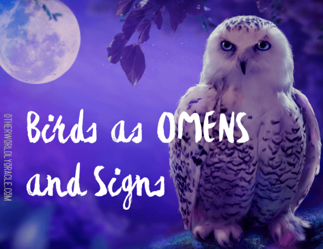 Birds as Omens and Signs