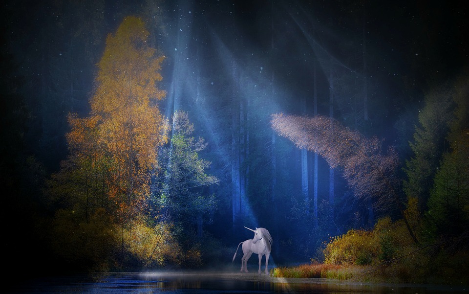 The unicorn spirit guide comes to only a few who are worthy.
