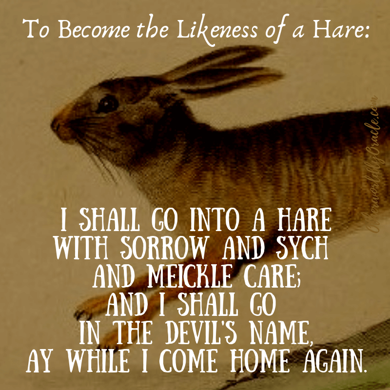 Shapeshifting into a hare