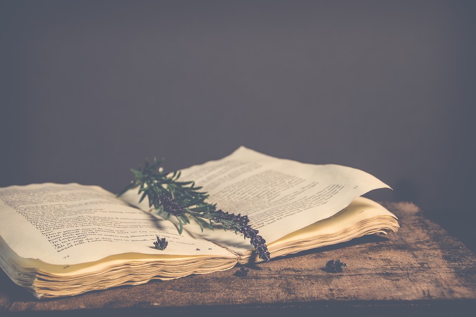 Books on folklore, the Witch Trials, herbalism and more are all useful to the traditional witch.