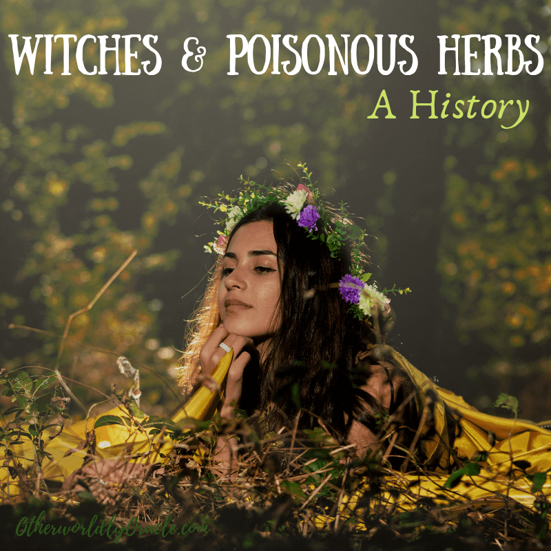 Witches and Poisonous Herbs: Bella Donna, Fly Agaric, and More