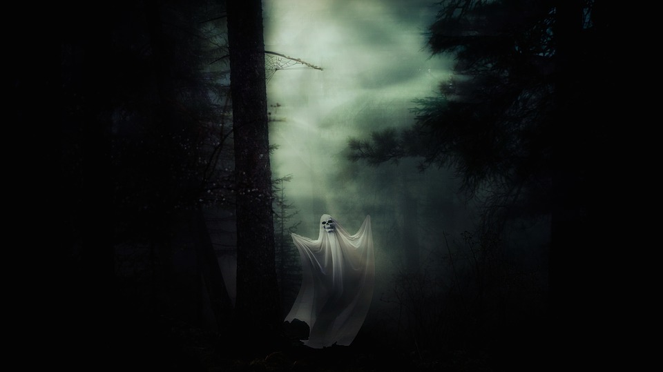 Ghosts can haunt a house or a property.