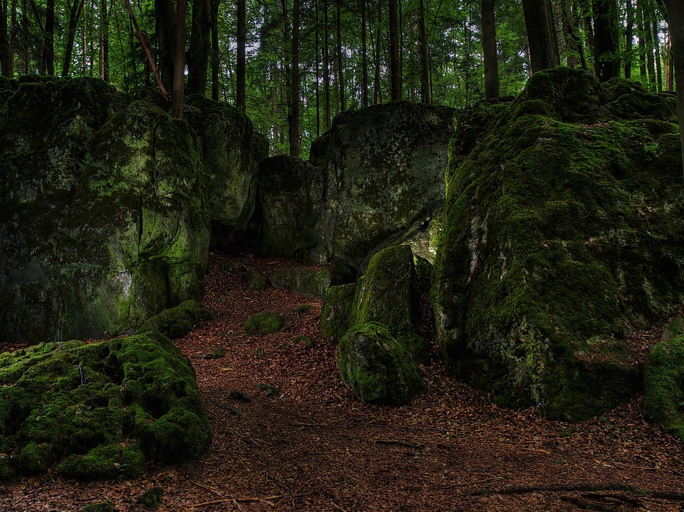 Spirits of Place guard sacred sites in nature such as mountains, caves, rivers and forests.