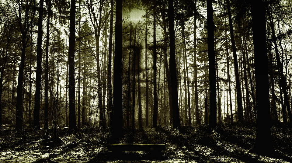 Elementals are being of a natural origin that may haunt a house or property.