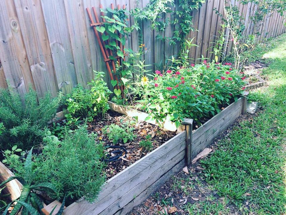 It's a perfect time to start a fall garden on Lughnasadh.