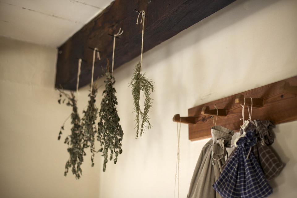 Dry out your rosemary and save it for spells and rituals.