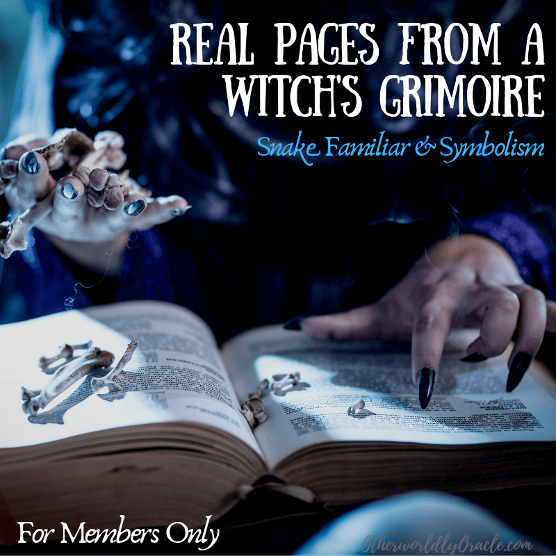 REAL Pages from a Witch's Grimoire on Snakes for Members Only