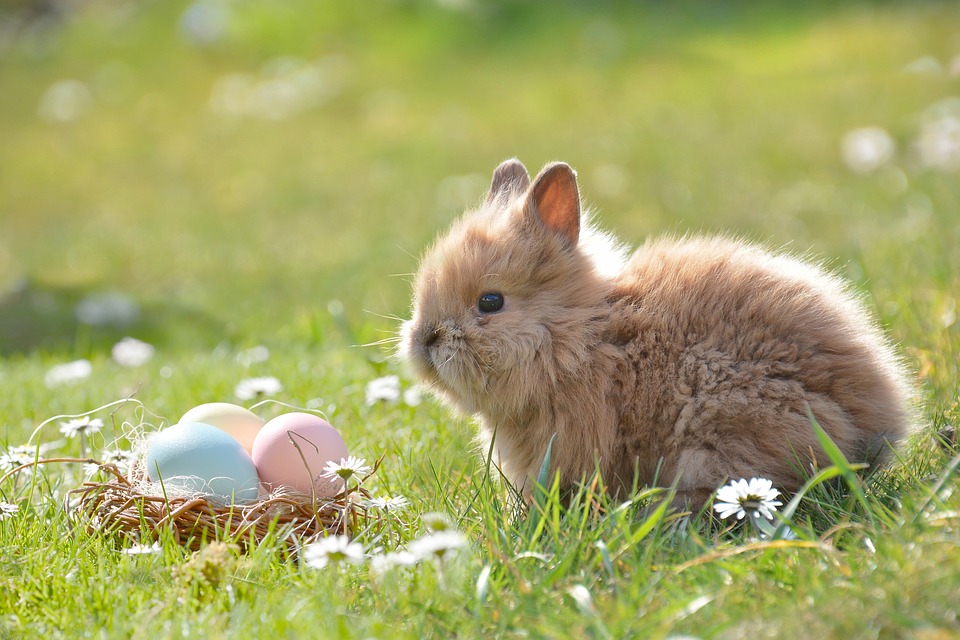 The Easter Bunny is in tradition of Eostre, an ancient Germanic goddess.