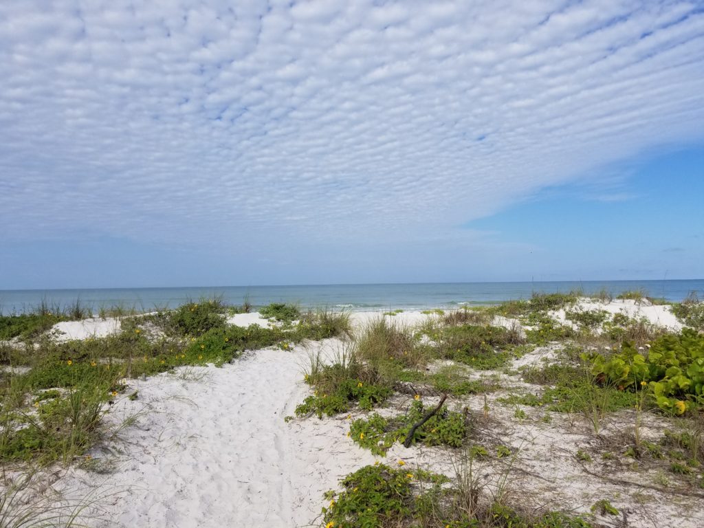 A great witchy spot, believe it or not, ,is Tampa Bay FL. 