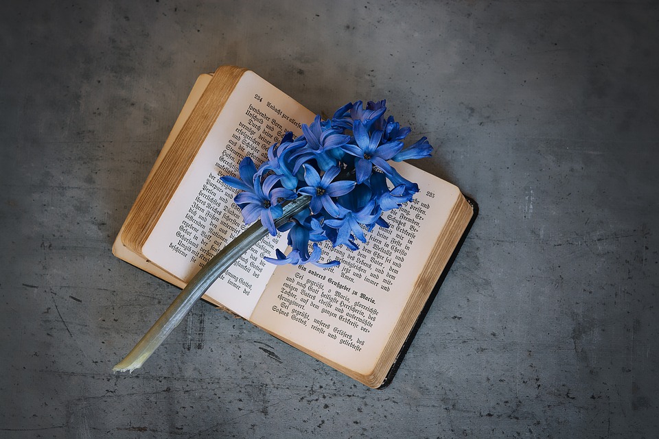 Trade your nightly screen time for 30 minutes of witchcraft study.