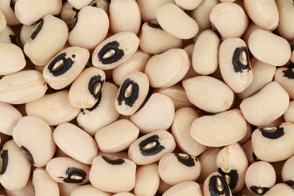 Hoppin' John or black eyed peas are eaten as a New Years tradition in the Southern U.S.