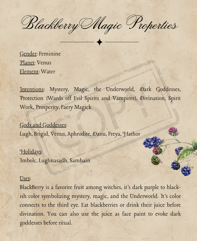 Blackberry magic watermark