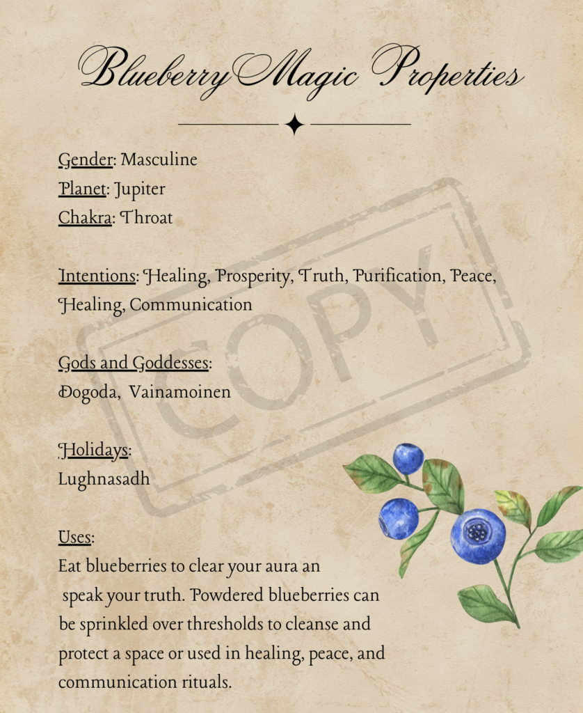 Blueberry Magic Watermark
