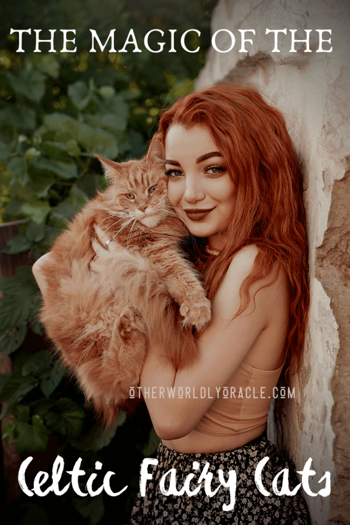 Learn all about the Cait Sidhe, fairy cats, from Celtic lore and how to work with them as familiars!