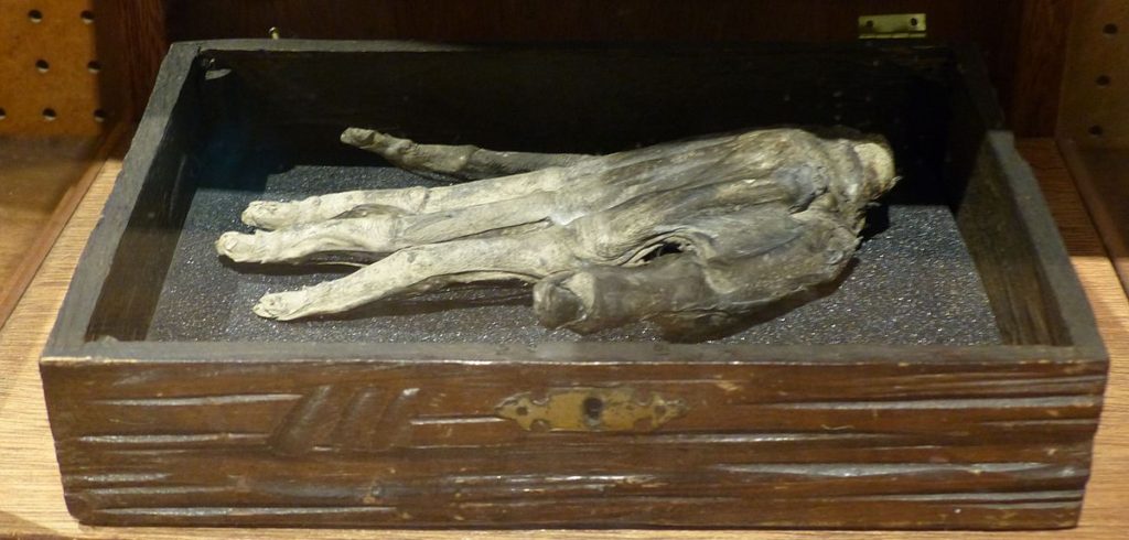 The hand of glory is a grisly Medieval magic tool used by thieves and burglars.