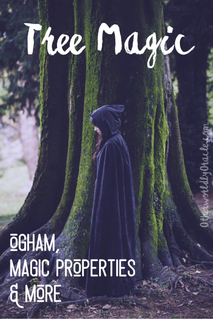Tree Magic: Ogham, and Magic Properties of Common Trees