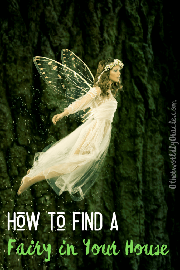 How to Find a Fairy In Your House