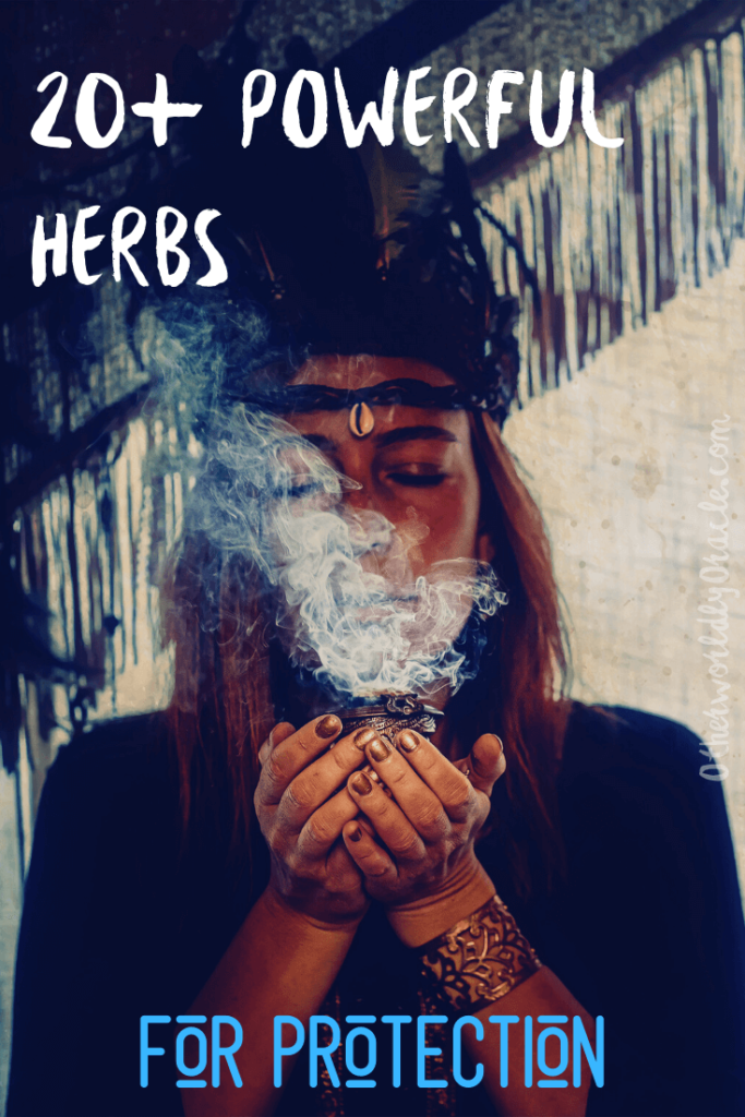20+ Herbs for Protection: Rue, Rose, Rosemary, and Thorns