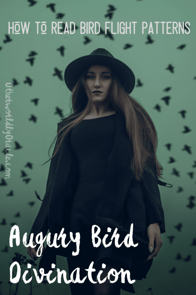 Augury: reading bird flight patterns.