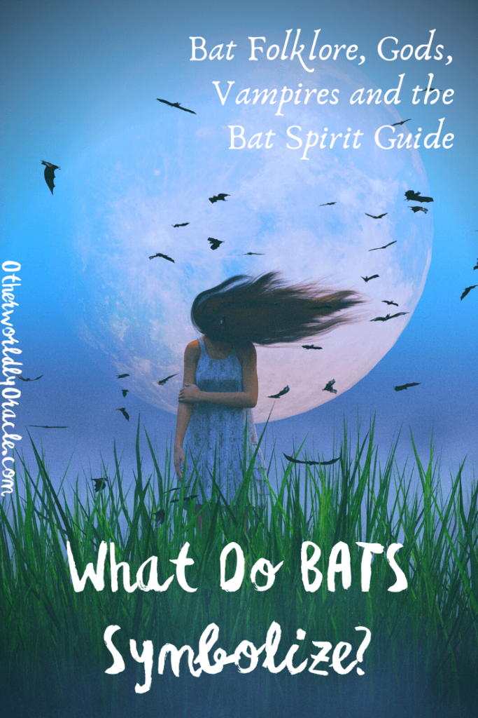 What do bats symbolize? Folklore, superstitions, vampires and more!