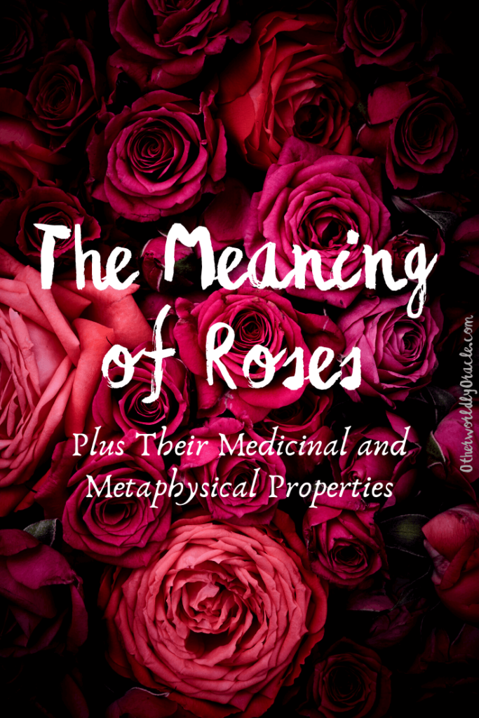 The Meaning of Roses: Language of Flowers and Modern Magical Properties