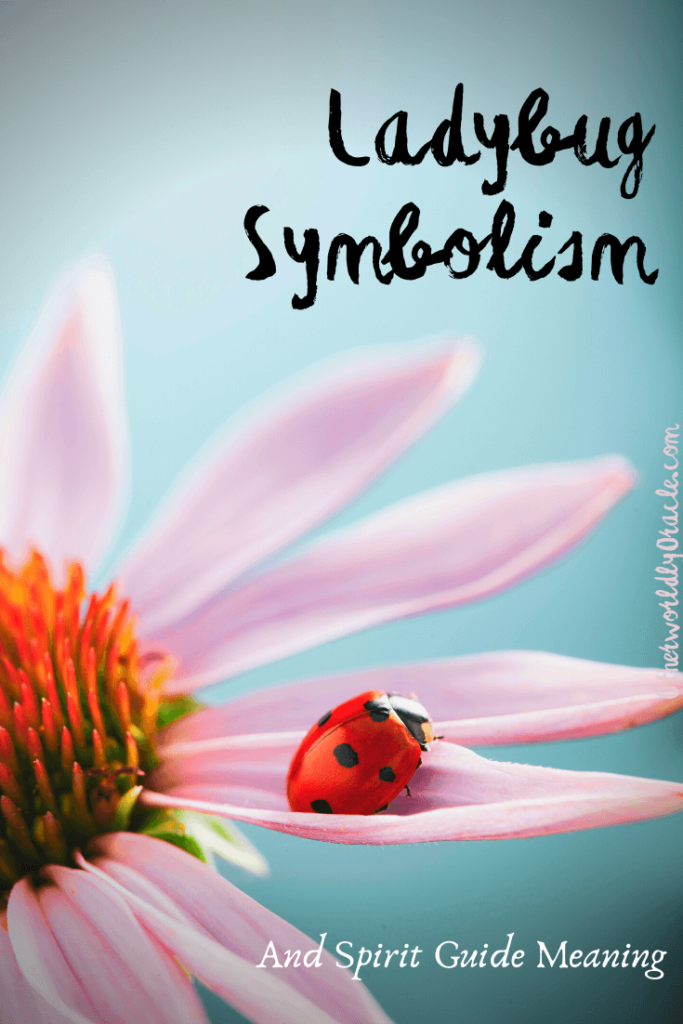 Ladybug Symbolism and Spirit Guide