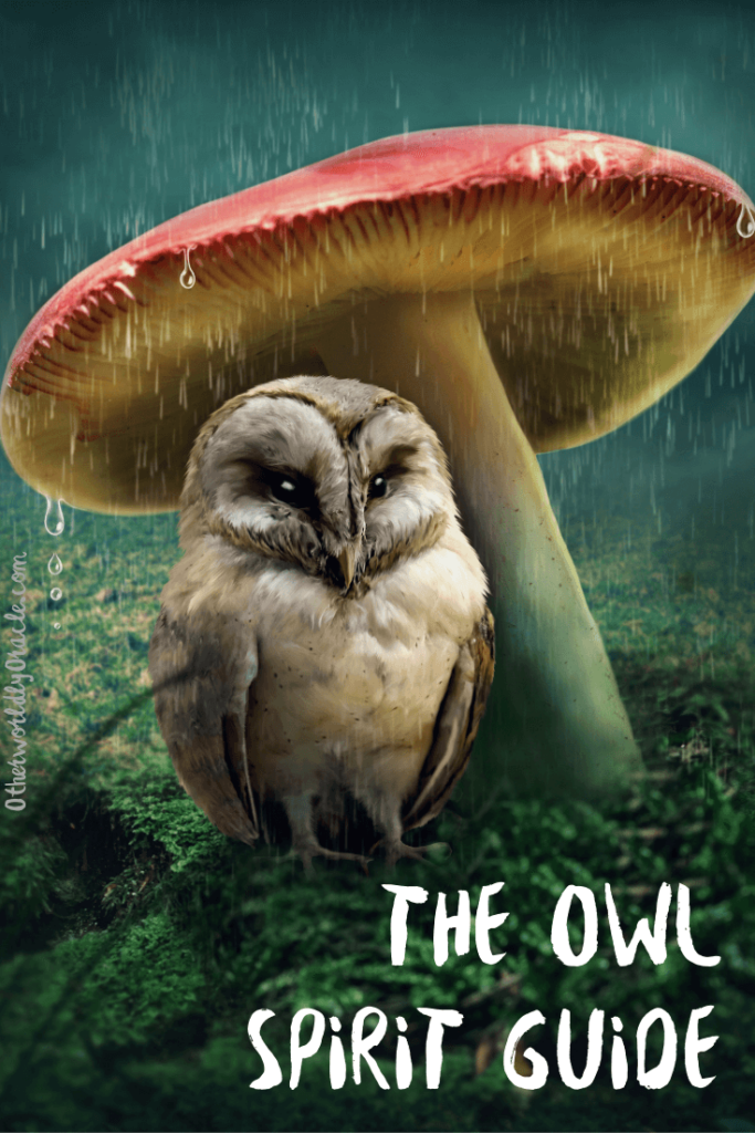 Owl Spirit Guide Messages and Mythos