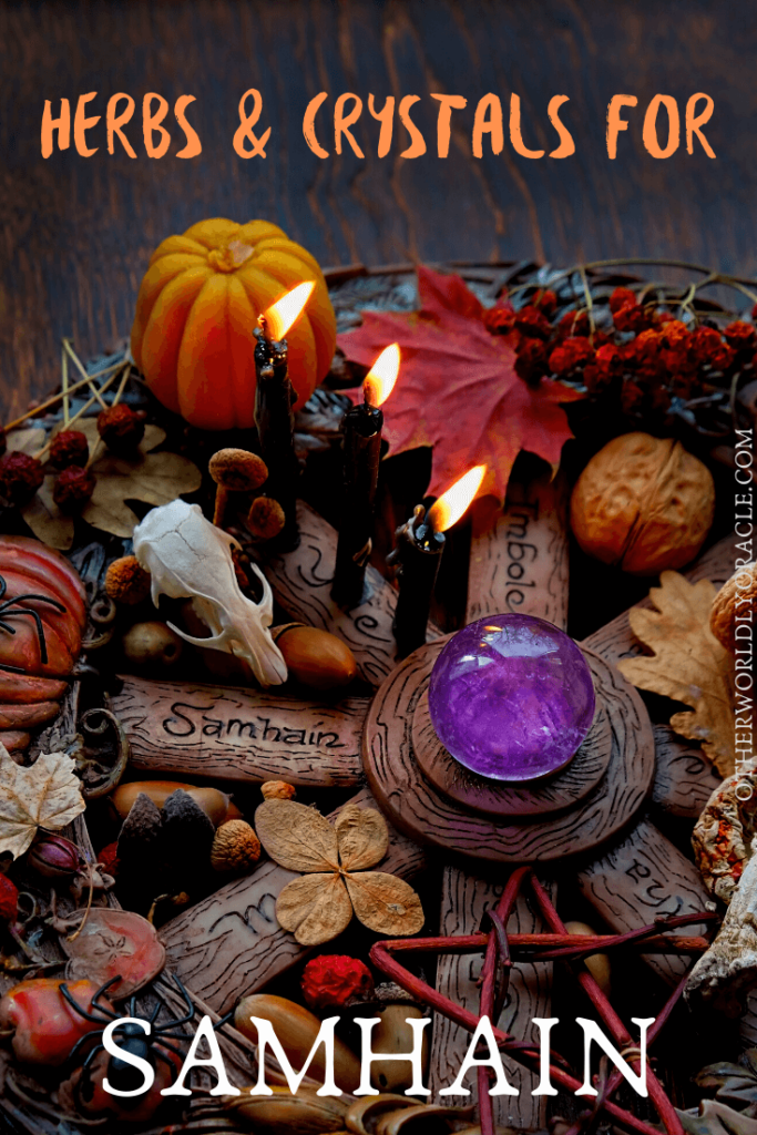 20+ Samhain Herbs and Crystals for Rituals and Traditions