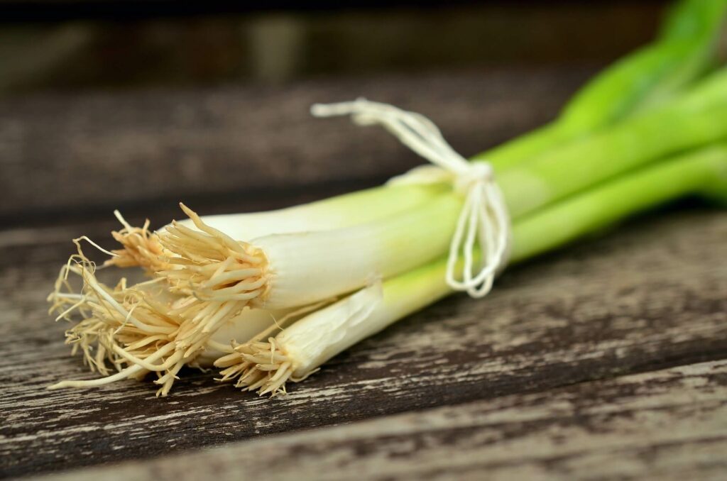 Spring onions are a traditional Ostara food.