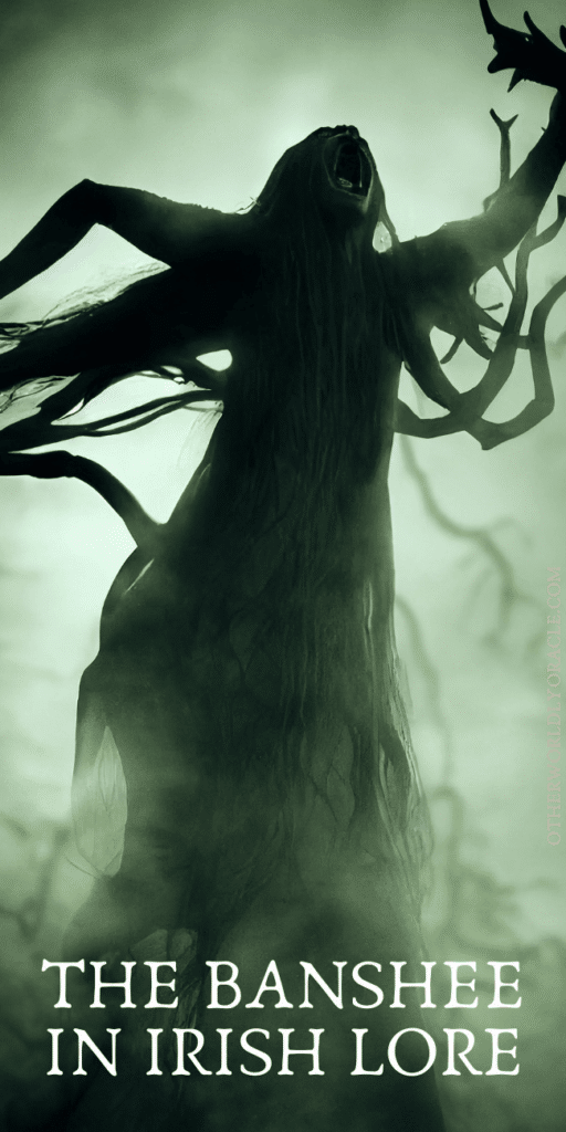 The Banshee and the Leanan sidhe