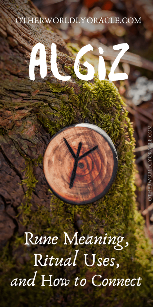 Algiz Rune Meanings and ritual Uses