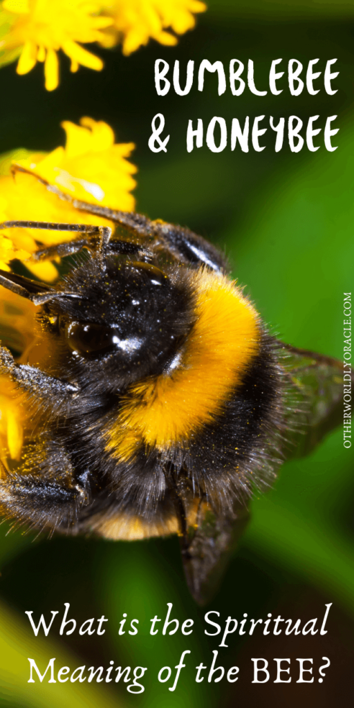 Spiritual meaning of a bumblebee, honeybee, and beehive