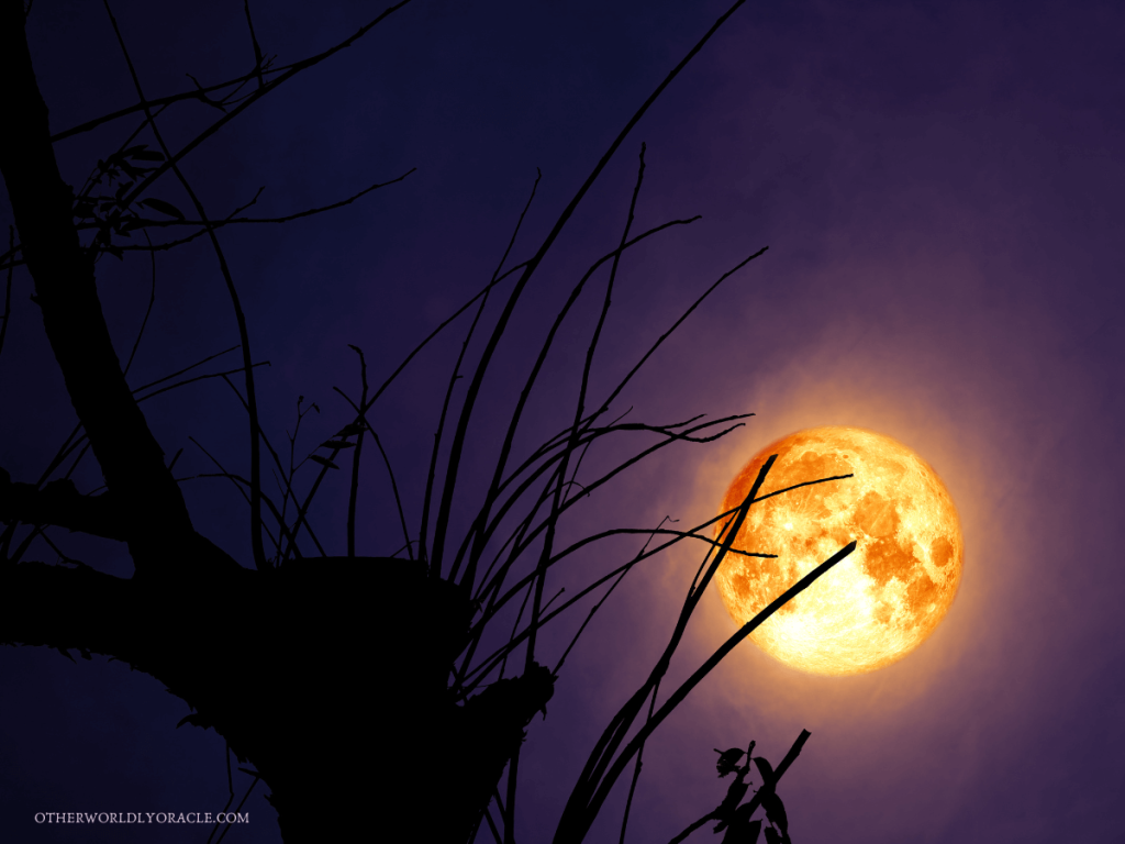 Full Beaver Moon Meaning and Rituals