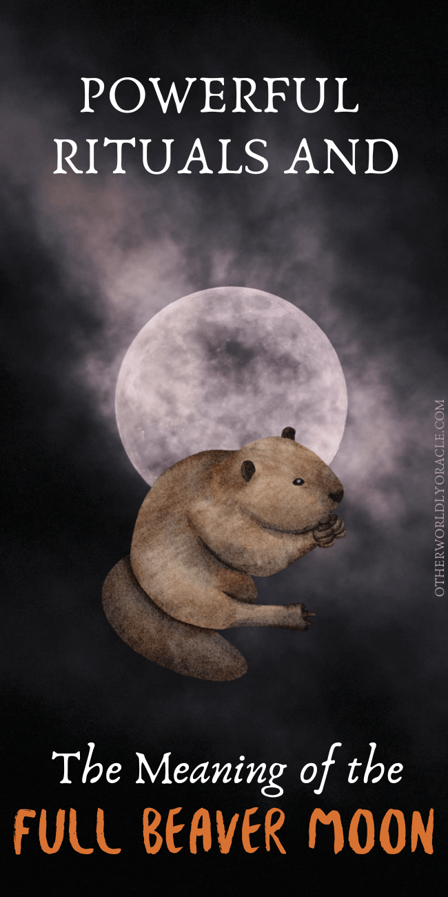 Full Beaver Moon Meaning in November and Rituals