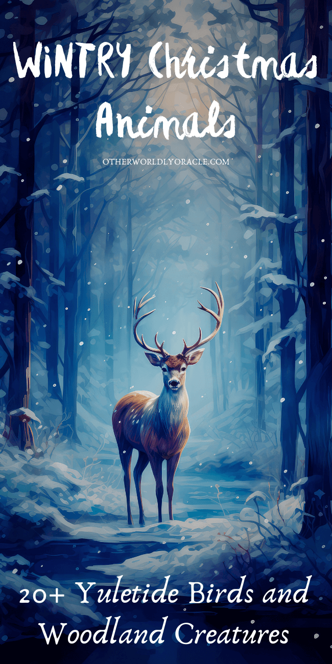 20+ Christmas Winter Animals and Birds from All Over the World