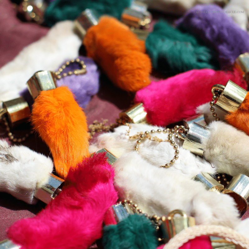 The rabbit's foot as a lucky talisman has been used for thousands of years.
