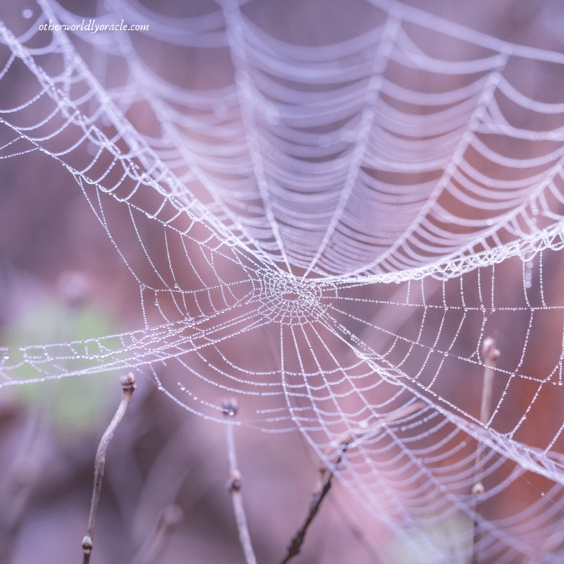 Spider gods create and destroy. And create again.